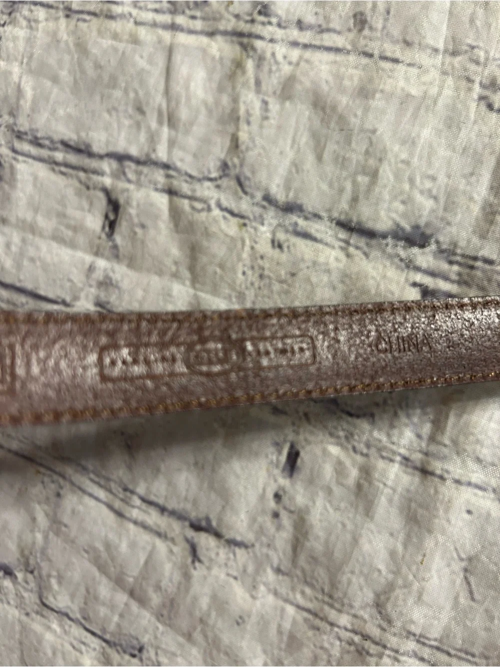 N/A fossil thin